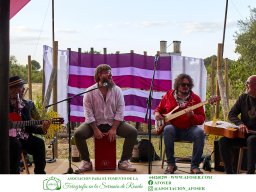 Festival Mar de Tethys 2026 - Bodega Vetas